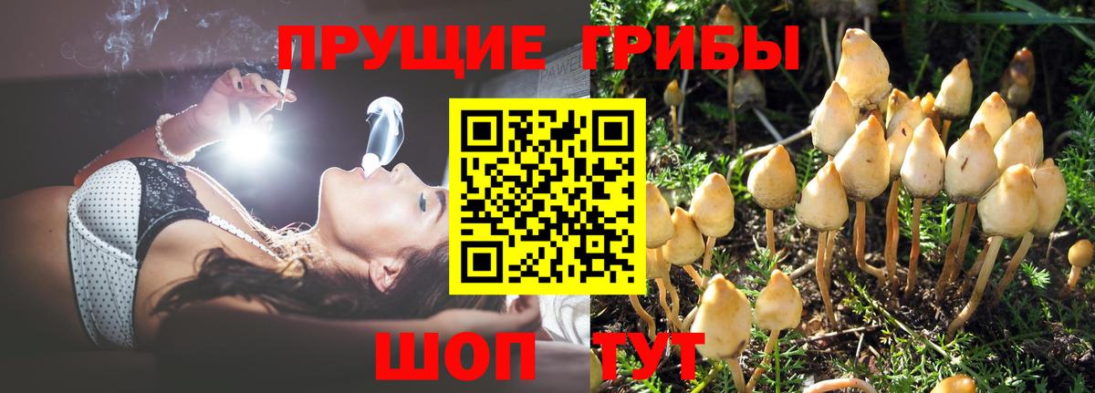 цены наркотик  Галлюциногенные грибы MAGIC MUSHROOMS  Вход с VPN  Ханты-Мансийск 